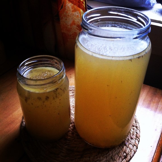 Caldo de huesos. Paleo, primal, salud digestiva. 