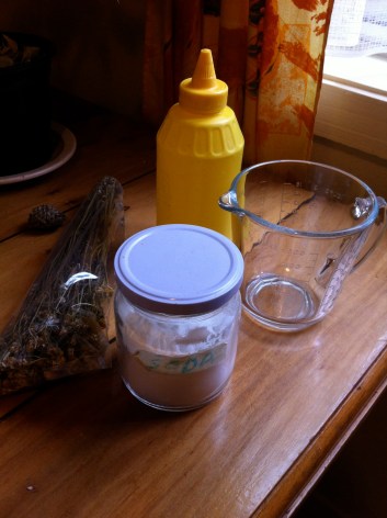 método sin champú. no poo method