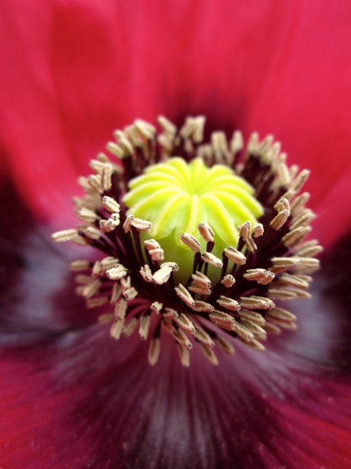 los detalles me alegran el corazón