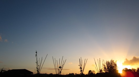 Cómo no agradecer por esta puesta de sol y como las pirámides de bambú se ven hermosamente negras a contraluz