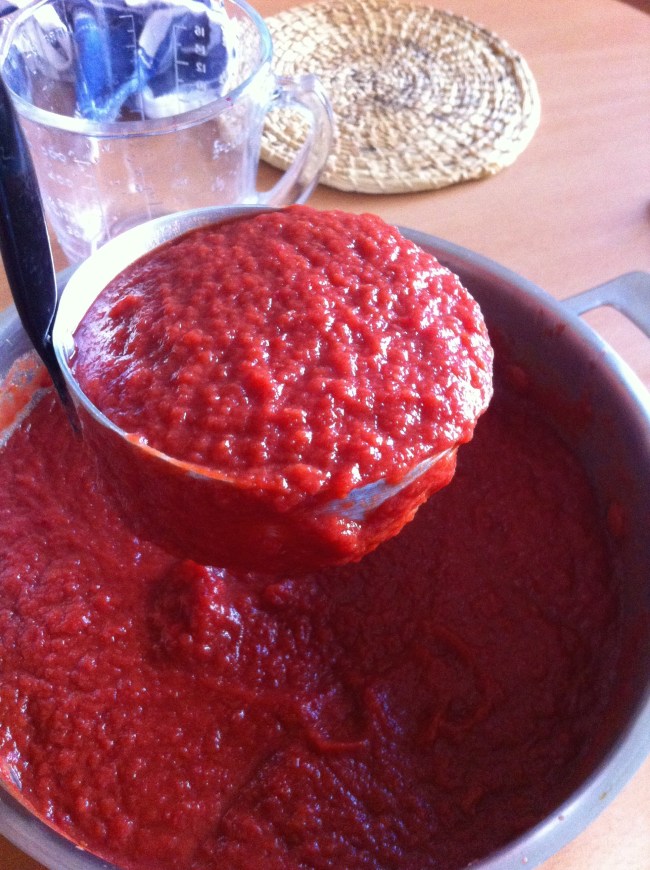 sin gluten, sin azúcar, sin granos, paleo, primal, AIP, protocolo auto inmune