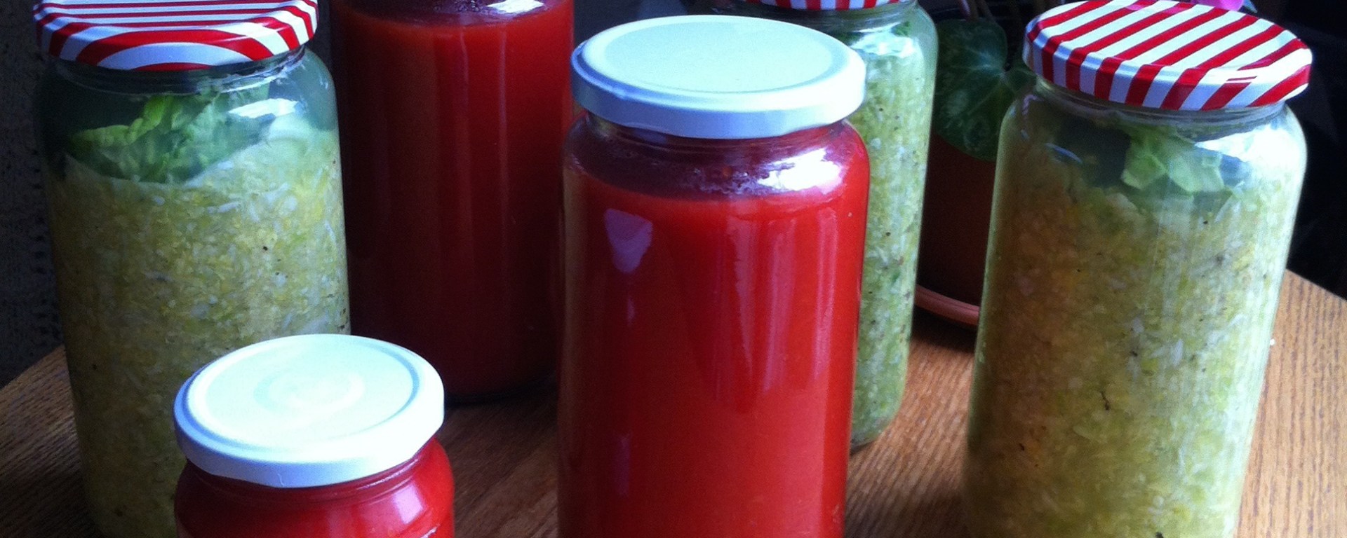 sin gluten, sin azúcar, sin granos, paleo, primal, AIP, protocolo auto inmune