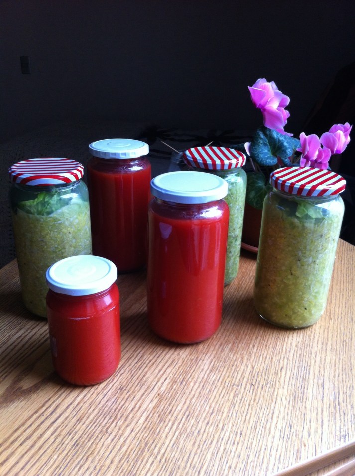 sin gluten, sin azúcar, sin granos, paleo, primal, AIP, protocolo auto inmune