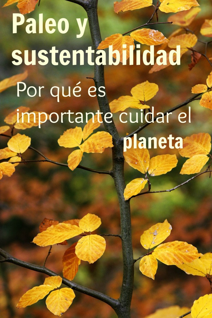 Parte importante de sanar nuestros cuerpos es asegurarnos de que el planeta esté lo suficientemente sano para poder ayudarnos en ello.