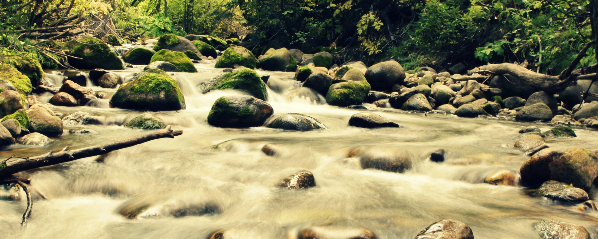 Parte importante de sanar nuestros cuerpos es asegurarnos de que el planeta esté lo suficientemente sano para poder ayudarnos en ello.