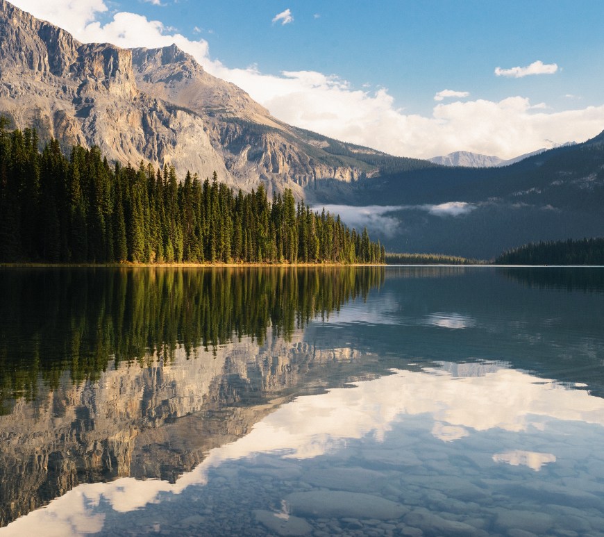 Siete cambios SENCILLOS que puedes hacer esta semana para ahorrar dinero y reducir tu impacto ambiental