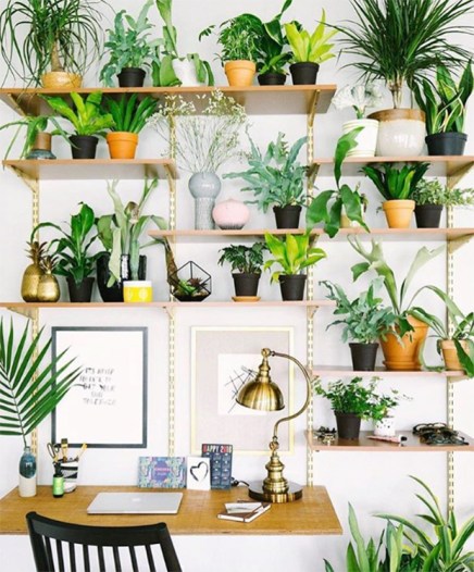 bosques: reduciendo los efectos del cambio climático