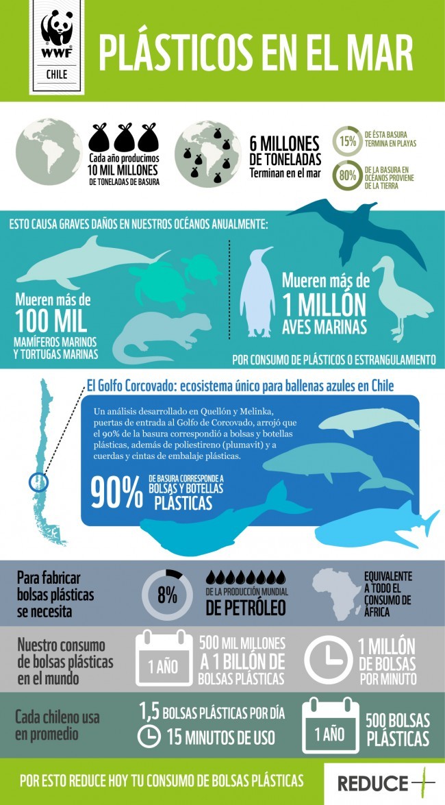cómo reducir tu uso de plástico